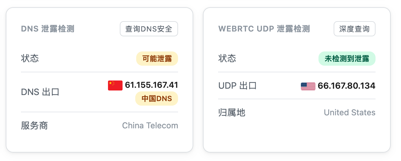 Claude 检测页出现中国 DNS 和可能泄露提示