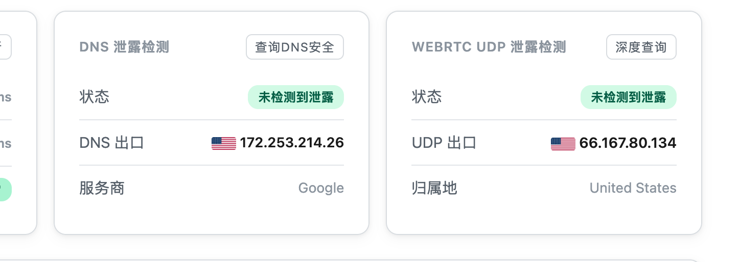 修改后未检测到 DNS 和 WebRTC UDP 泄露